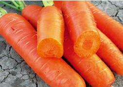 ؚѪ����ʲô���F(xi��n)��Ů���@�ӳ��a(b��)Ѫ��