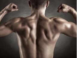 ���˾�����ɳ�6�Nʳ�� �ʳע��3ԭ�t