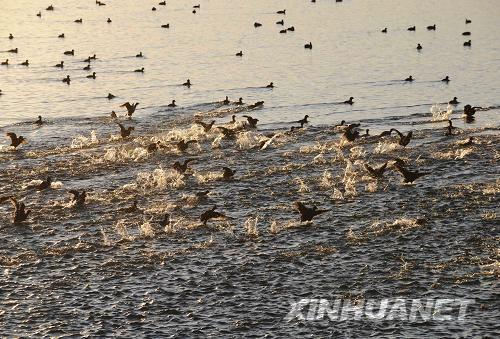 10��18�����ڼ�����˹˹̹�����˺��ݰ��׿��R�������˺�Դ�^�����&ldquo;�O��&rdquo;����ˮ�B(ni��o)��Ϣ�������˺�����