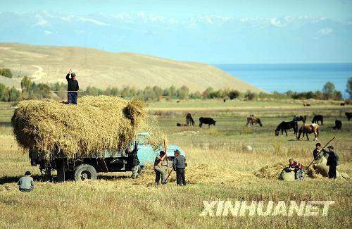 �@��10��18���ڼ�����˹˹̹�����˺��ݾ���(n��i)�Ĕz���˂�?c��)������˺�߅�����g������