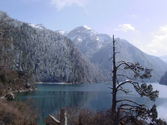 ����������D�����o�ľ�կ�� �DƬ����կ�Ϲ�����