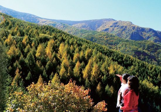 �^�������䐂(�zӰ��Ҧ����)