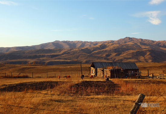 ����ĺ���