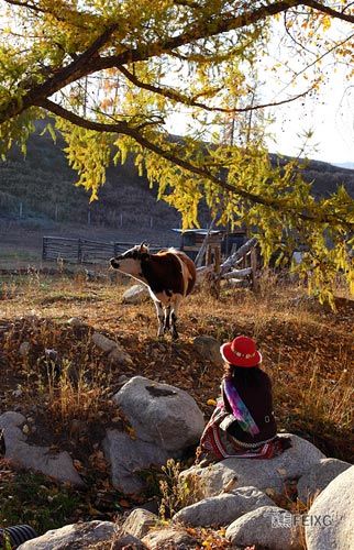 �������Բ�