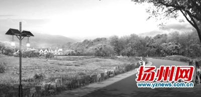 ���^(q��)������B(t��i)�����(xi��ng)ĿЧ���D