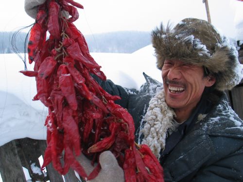 005����������     ���ߣ������ĵ������