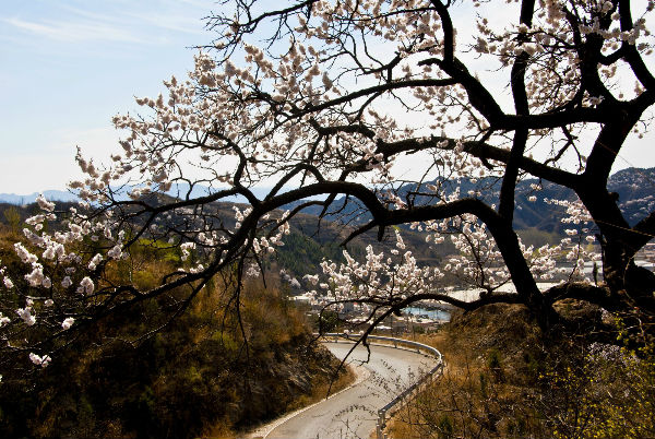 ʯ���(zh��n) (��������ί���D)