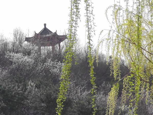 �u�Qɽ (��������ί���D)