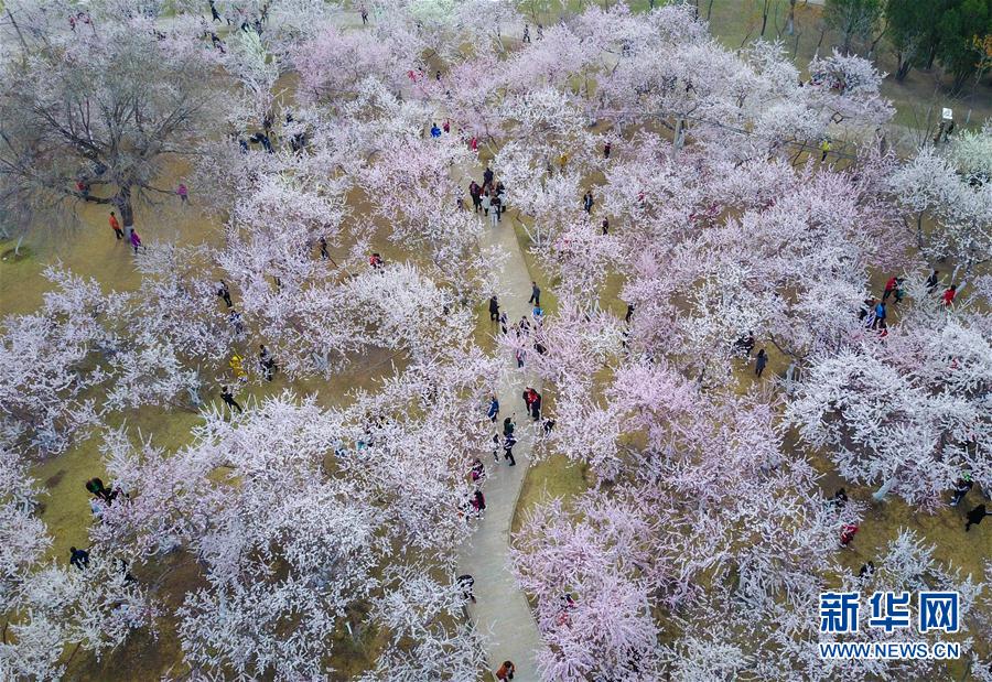 1120783570_14918249147521n