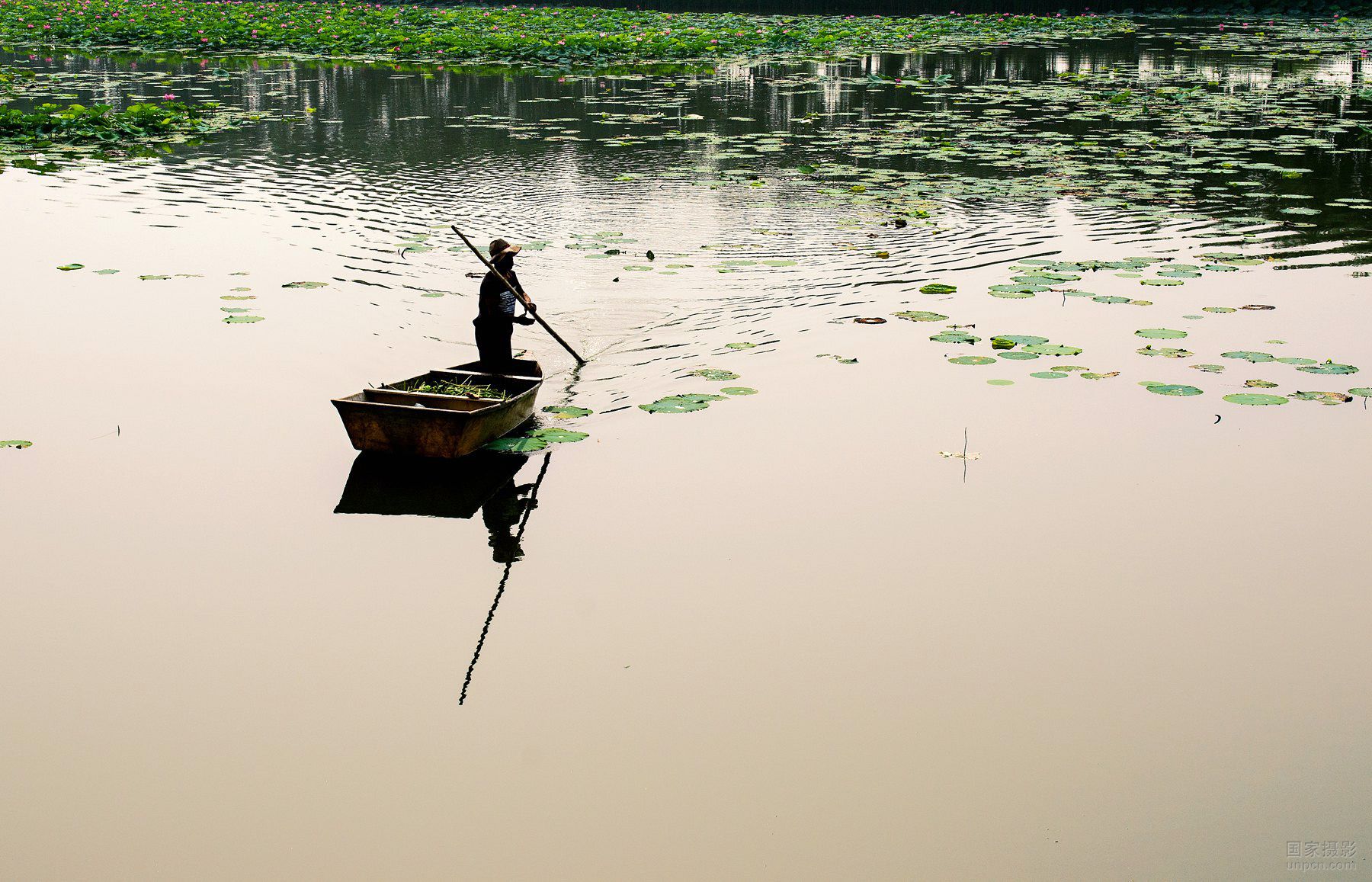 ֱ���A(y��)�棺����Ԓ������͸�^�vʷ���۰�