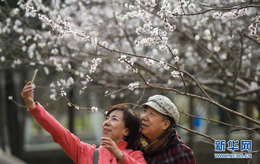 1120783570_14918249148951n