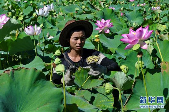 �����(hu��)����2������ɽ�����L(f��ng)�������́�(l��i)