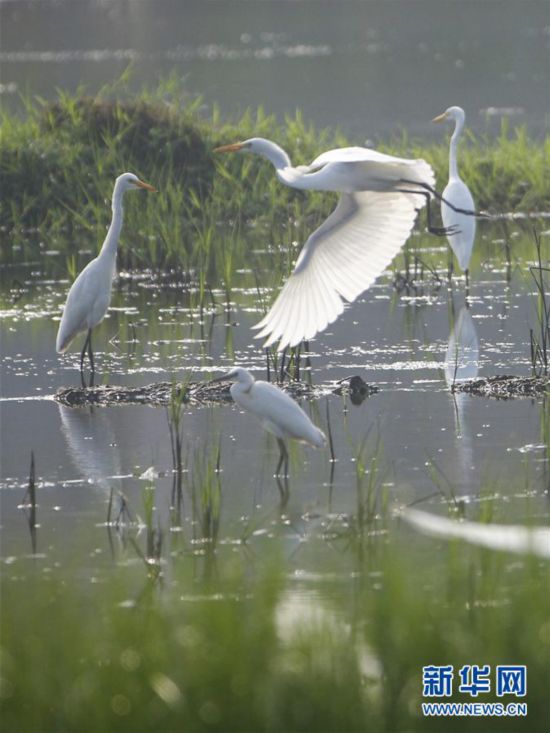 #���h(hu��n)������4������ʢ��