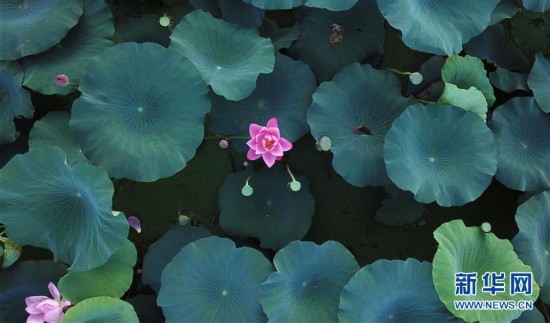 #���h(hu��n)������3�����K�P�ݣ�&ldquo;ĩ��&rdquo;���� �e��������箋