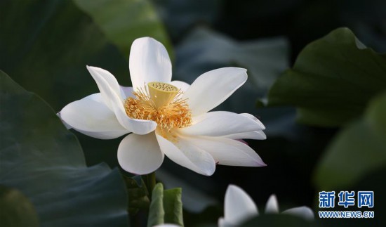 #���h(hu��n)������2�����K�P�ݣ�&ldquo;ĩ��&rdquo;���� �e��������箋