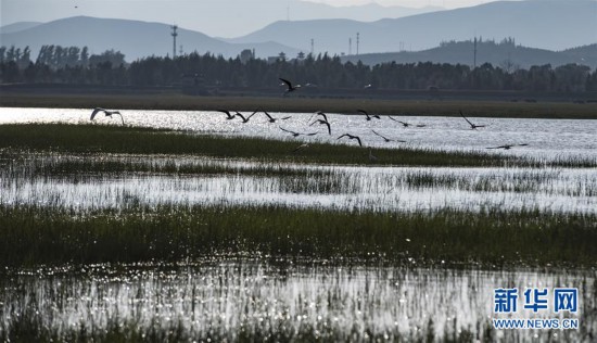 �������Ї�����1�������ӝ�� �����L(f��ng)�