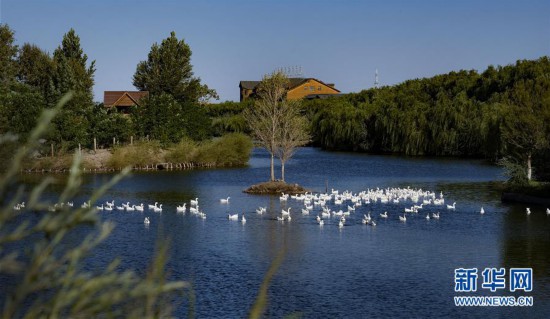 �������Ї�����3�����Bɽ�ºںӝ�� ��ˮ�G�y��Ԋ�Ʈ�