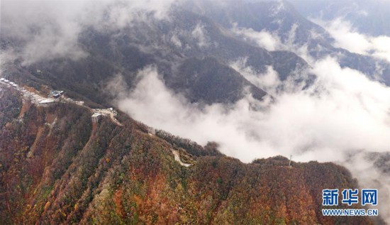 �������Ї�(gu��)����1����Ϲ��ȎX���؎X��̎��&ldquo;���F�ɾ�&rdquo;