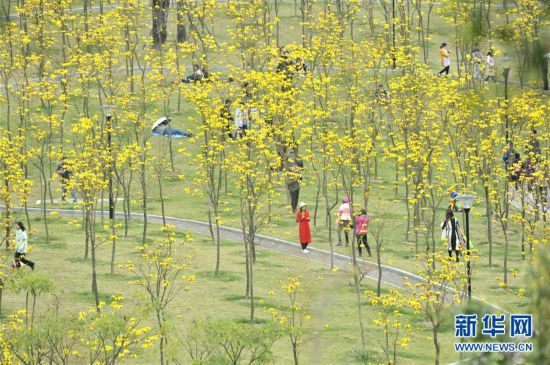 #���h(hu��n)������1���V���ό����S���L(f��ng)�ľӭ���`��