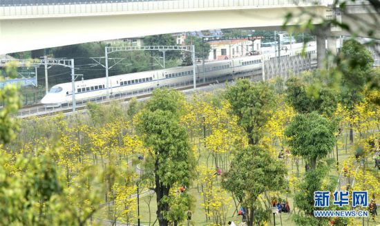 #���h(hu��n)������3���V���ό����S���L(f��ng)�ľӭ���`��