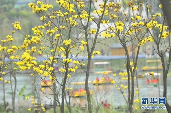 #���h(hu��n)������2���V���ό����S���L(f��ng)�ľӭ���`��