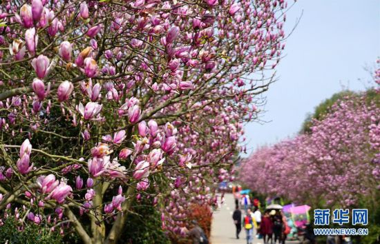 �������������B(t��i)����1�������P�˜�