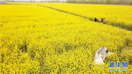 �������������B(t��i)����5���Ͳ˻��_ӭ�́�(l��i)