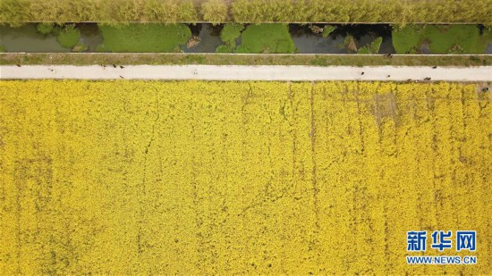 �������������B(t��i)����2���Ͳ˻��_ӭ�́�(l��i)