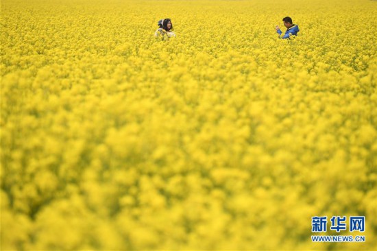 �������������B(t��i)����4���Ͳ˻��_ӭ�́�(l��i)