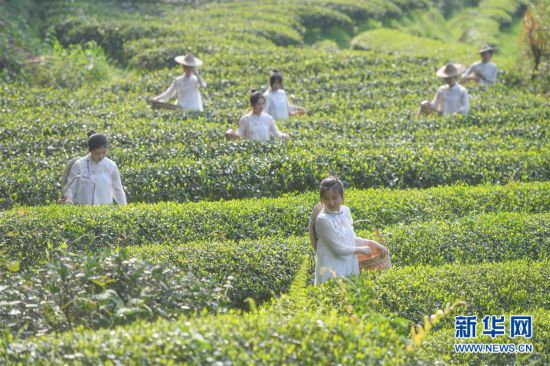 �����(hu��)����1����������ɽ���ɲ��w�(y��n)��