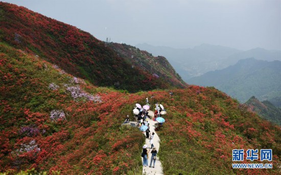 �������������B(t��i)����6���F�ݵ�կ���X���_��ӳɽ�t