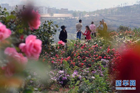 ���������2�����ϸ�Դ������������