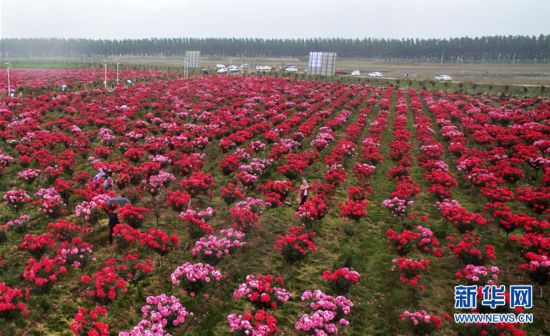 ��Óؚ����(ji��n)����1���¼�ʢ�_ӭ�́�