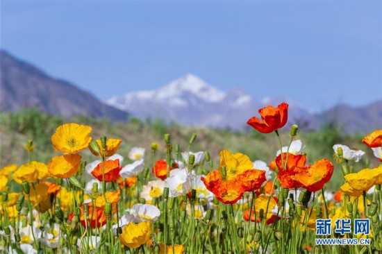 #����(j��ng)��(j��)����2�����C���_�����Bɽ���f���������_��