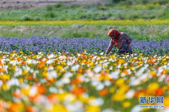 #����(j��ng)��(j��)����4�����C���_�����Bɽ���f���������_��