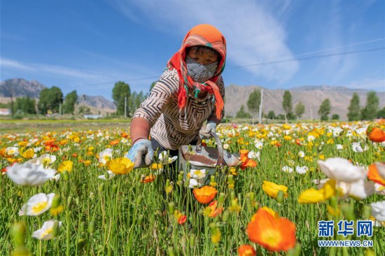 #����(j��ng)��(j��)����3�����C���_�����Bɽ���f���������_��