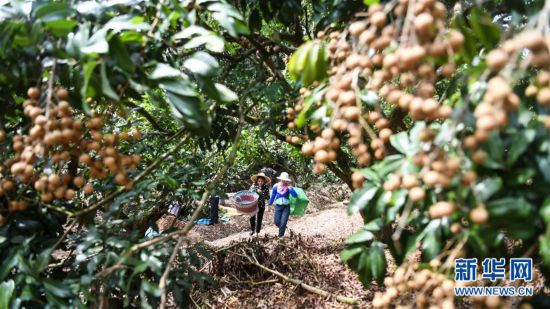 ����(j��ng)��(j��)����3�����۳������́�(l��i)