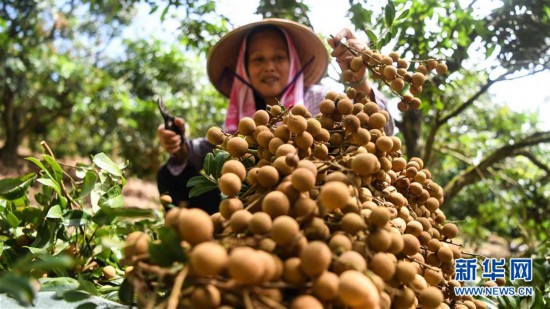 ����(j��ng)��(j��)����2�����۳������́�(l��i)