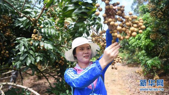 ����(j��ng)��(j��)����1�����۳������́�(l��i)