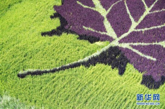 �����(hu��)����6���½������ﮋӭ�˷��ο�