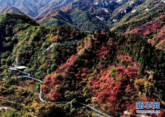 ���h(hu��n)������2���t�~��ɽ�����