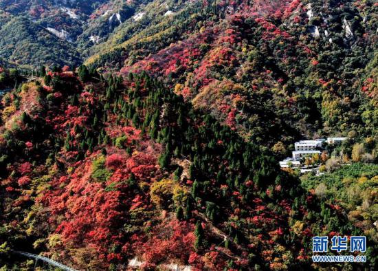 ���h(hu��n)������3���t�~��ɽ�����