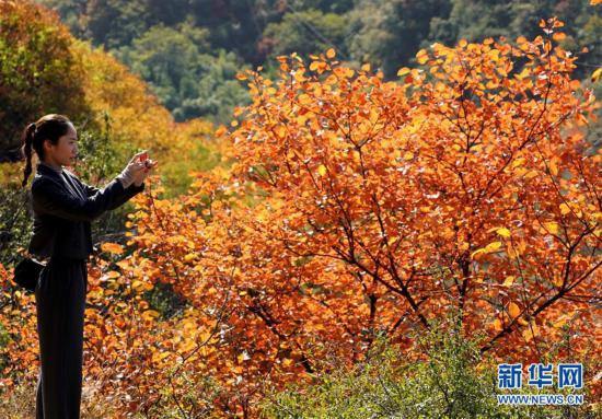 ���h(hu��n)������6���t�~��ɽ�����