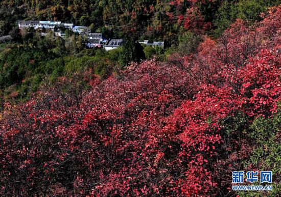 ���h(hu��n)������1���t�~��ɽ�����