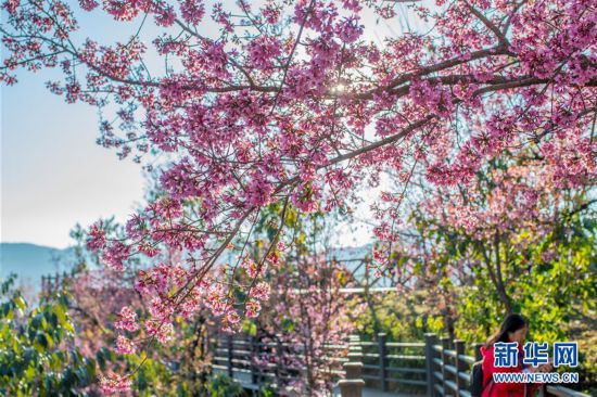 �������Ї�����5���o��ɽ�ѻ��ȣ���@���G �ѻ���ϼ