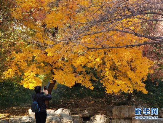 ���h(hu��n)������5���A���@�ﾰ������