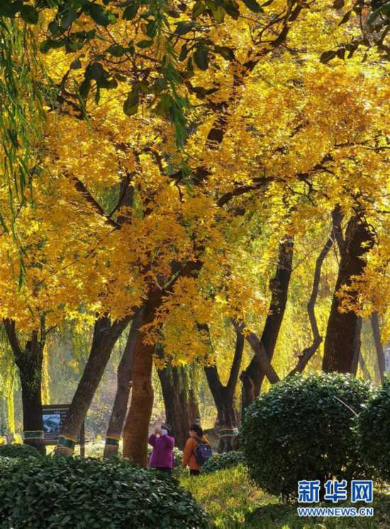 ���h(hu��n)������4���A���@�ﾰ������