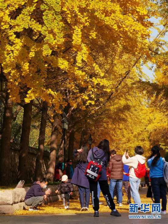 ���h(hu��n)������6���A���@�ﾰ������