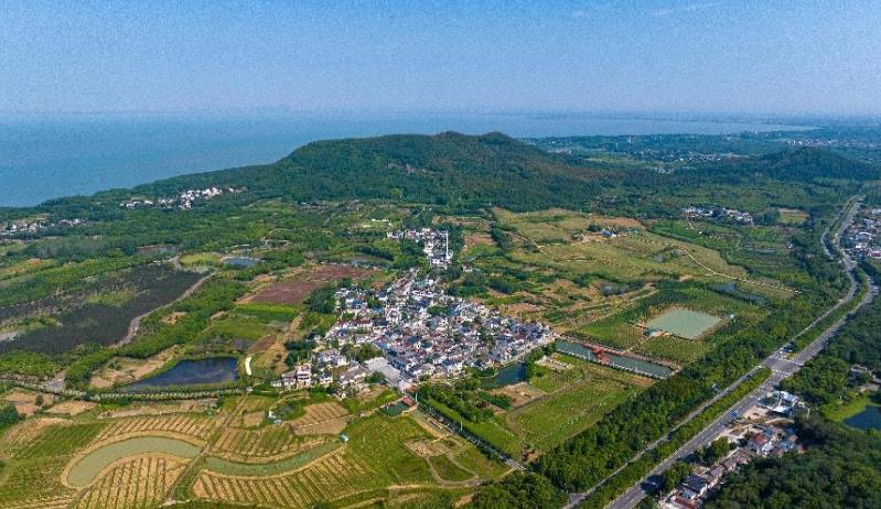 �����^(q��)��ò�����z