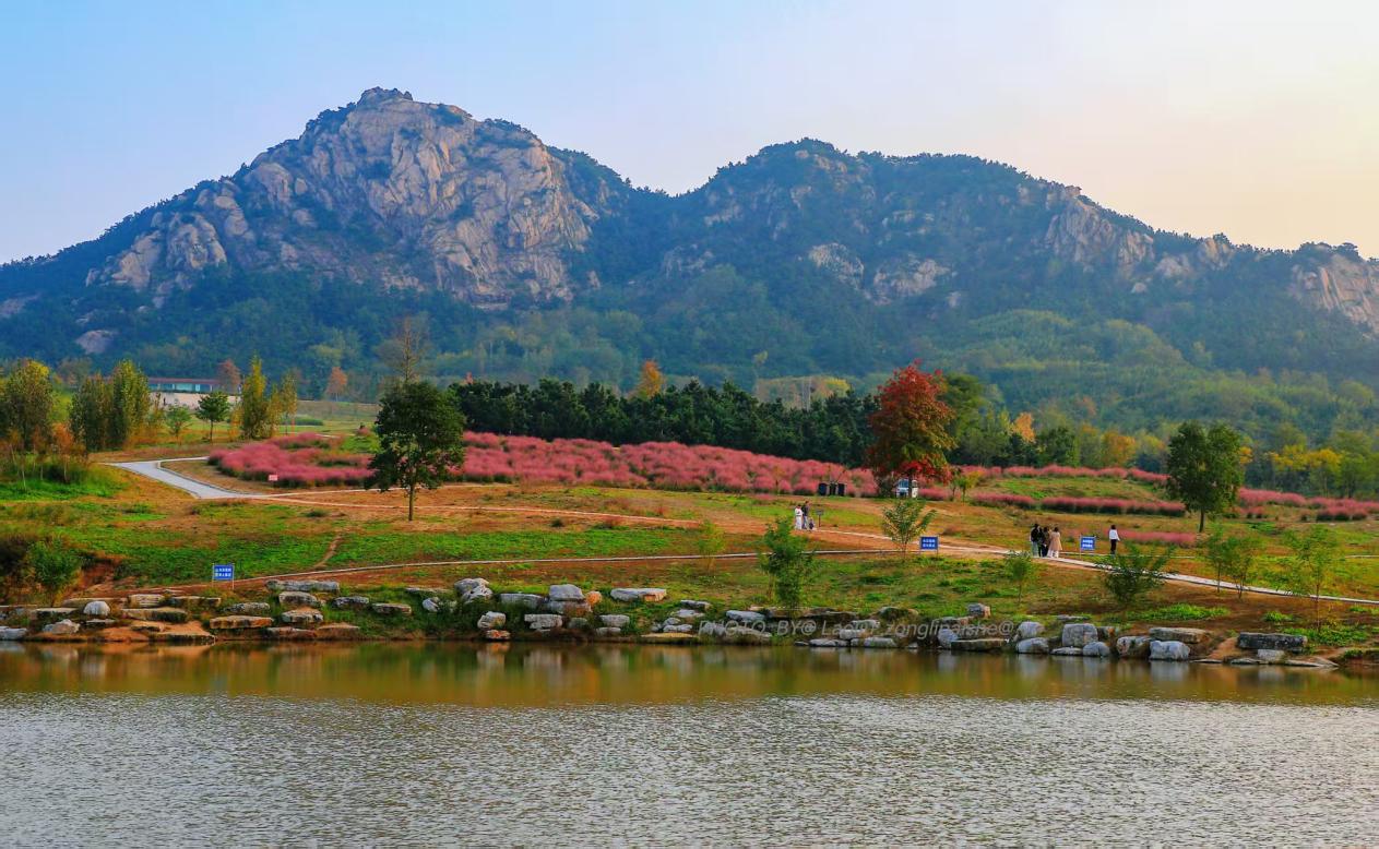 �h(yu��n)̎���ֱMȾ�����ǳ����p���ĺÕr��(ji��)�������� �z